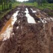 Inilah kondisi jalan poros Desa Jati Mulyo yang kerusakannya kian parah. Saat ini angkutan hasil panen warga dengan menggunakan kendaraan roda empat lumpuh total. Warga terpaksa mengeluarkan biaya tambahan sebesar Rp125 per kilogram untuk melansir hasil panen dengan menggunakan jasa langsiran kendaraan roda dua.  