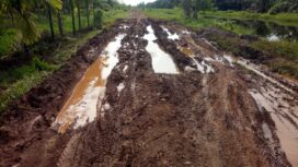 Inilah kondisi jalan poros Desa Jati Mulyo yang kerusakannya kian parah. Saat ini angkutan hasil panen warga dengan menggunakan kendaraan roda empat lumpuh total. Warga terpaksa mengeluarkan biaya tambahan sebesar Rp125 per kilogram untuk melansir hasil panen dengan menggunakan jasa langsiran kendaraan roda dua.  