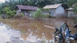 Kondisi pemukiman warga di Desa Catur Rahayu yang terendam banjir. Kondisi ini sangat menghambat aktifitas warga. Foto: Daryanto/koransabak.com