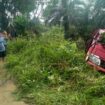 Mobil PT Panca Putra Purnama pengangkut Gas Elpiji 3 KG nyungsep ke semak belukar, tak jauh dari Jembatan Teluk Dawan. Foto: Daryanto/koransabak.com