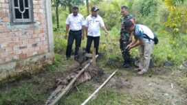 Warga di Desa Catur Rahayu, Kecamatan Dendang, berhasil menangkap Buaya dengan cara dipancing. Tampak Buaya yang telah diikat dengan mata ditutup menggunakan kain dalam kondisi tenang. Terlihat Camat Dendang dan Kades Catur Rahayu beserta Babinsa Catur Rahayu menunggu kehadiran BKSDA untuk evakuasi Buaya tersebut. Foto: Arafik/koransabak.com