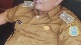 Zulkarnain, Kades Sungai Toman