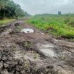 Kondisi jalan menuju Desa Merbau, Kecamatan Mendahara.