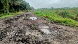 Kondisi jalan menuju Desa Merbau, Kecamatan Mendahara.