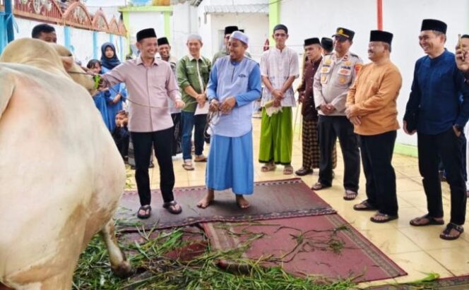 
 Wakil Bupati Tanjabtim Serahkan Bantuan Hewan Qurban Presiden ke Mendahara